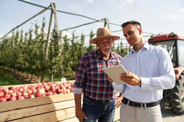 Farmers Are Better Than Teachers