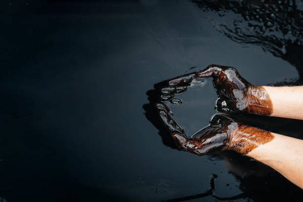 Crude Oil is Better Than Agriculture 