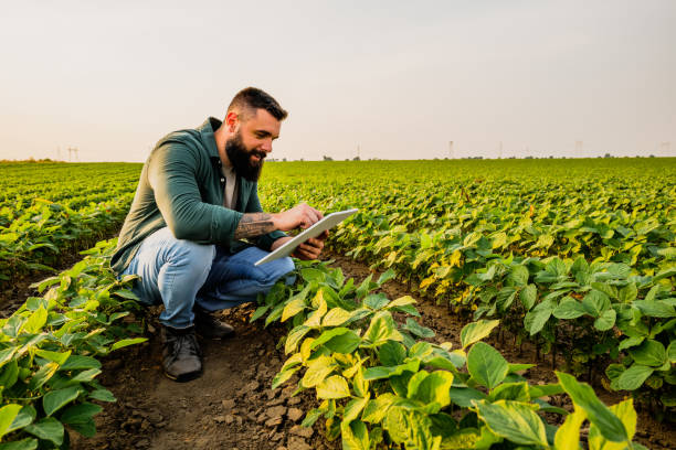Farmers Are Better Than Traders 