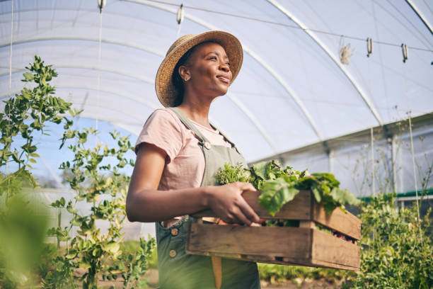 Farmers Are Better Than Traders 