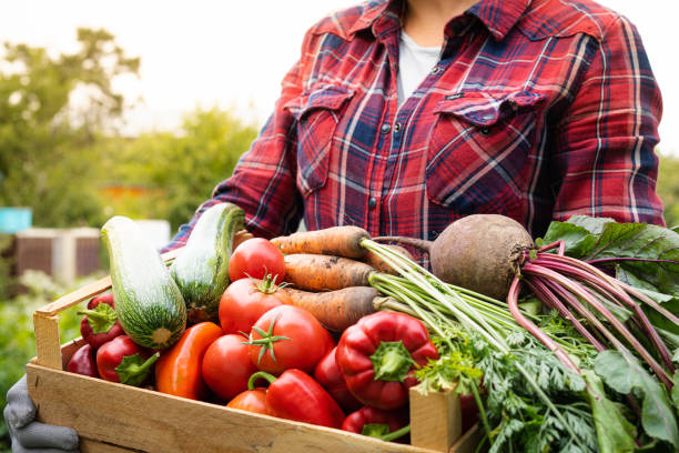 Agriculture is Better Than Crude Oil 