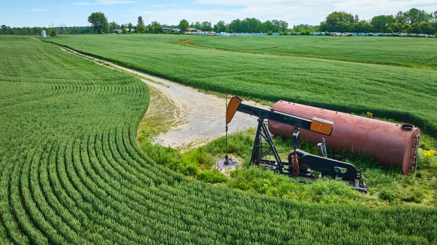 Agriculture is Better Than Crude Oil 
